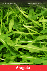 Aragula