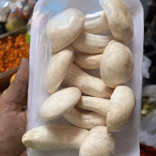 B2B Supplier of Vegetables and Fruits in Delhi's Wholesale Market