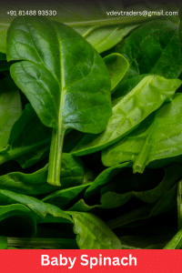 Baby Spinach