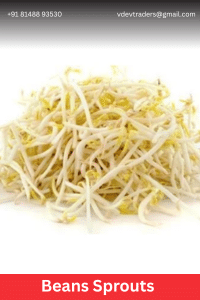 Beans Sprouts