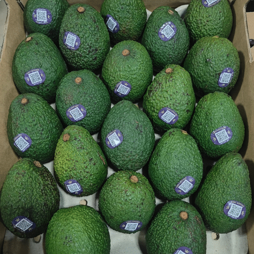 Bulk Fresh Produce Direct from Source – Delhi NCR Wholesale