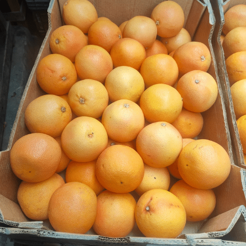 Buy Fresh Fruits and Vegetables in Bulk – V Dev Traders Delhi