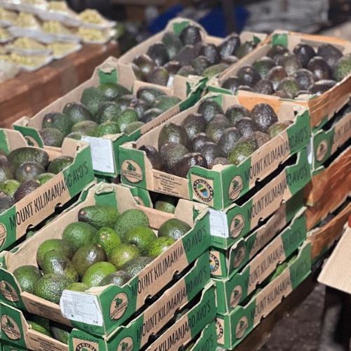 Buy Fruits & Vegetables in Bulk from Delhi’s Top Supplier