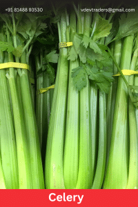 Celery