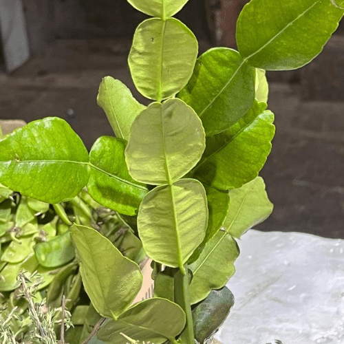 Daily Supply of Farm Fresh Produce in Delhi NCR