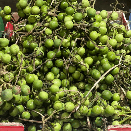 Direct-from-Farm Fruits & Vegetables for Bulk Buyers in Delhi