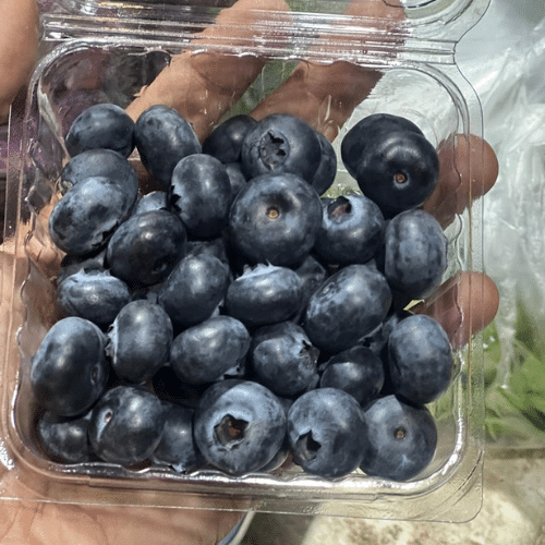 Fresh Fruits and Vegetables in Bulk for B2B Buyers – Delhi NCR