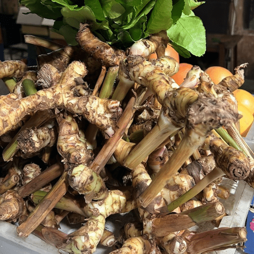 Get Daily Fresh Fruits & Vegetables in Bulk – Delhi Supplier