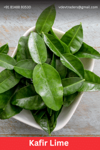 Kafir Lime