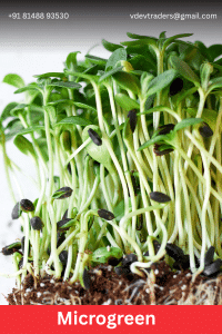 Microgreen