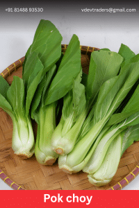 Pok choy