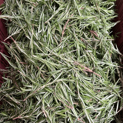 Premium Grade Fruits and Vegetables for Bulk Supply – Delhi