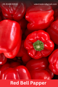 Red Bell Papper