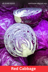 Red Cabbage