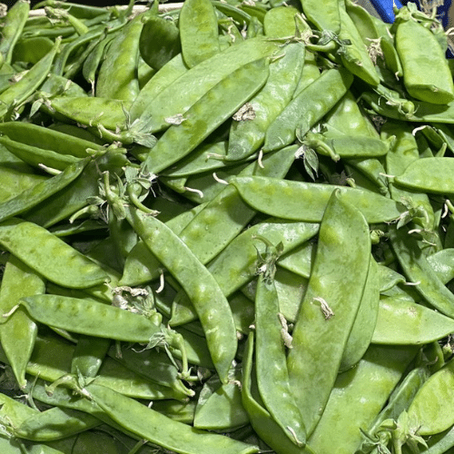 Reliable B2B Fresh Produce Partner in Delhi NCR