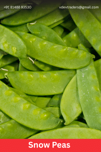 Snow Peas