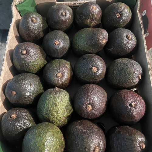 V Dev Traders – Fresh Produce Distributor Across Delhi NCR
