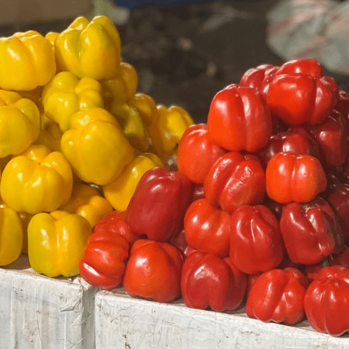 Wholesale Fresh Produce Supplier in Delhi NCR – V Dev Traders