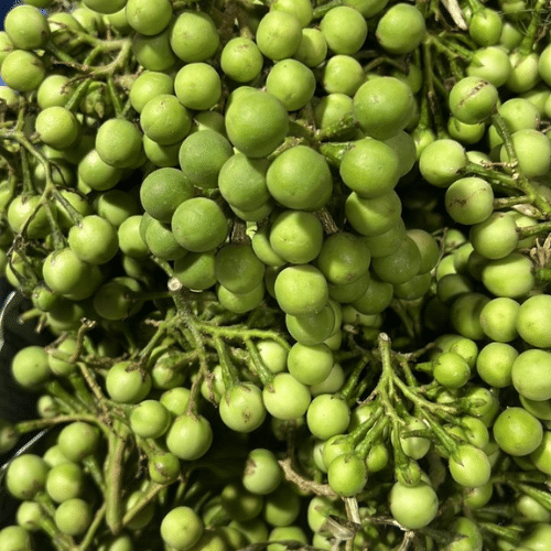 Wholesale Fruits & Vegetables Supplier in Delhi – V Dev Traders