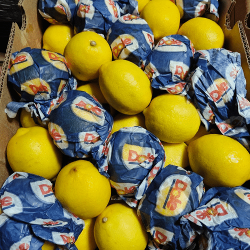 Wholesale Market-Grade Fruits & Veggies from Delhi Supplier