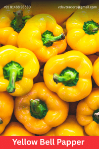 Yellow Bell Papper