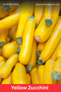 Yellow Zucchini