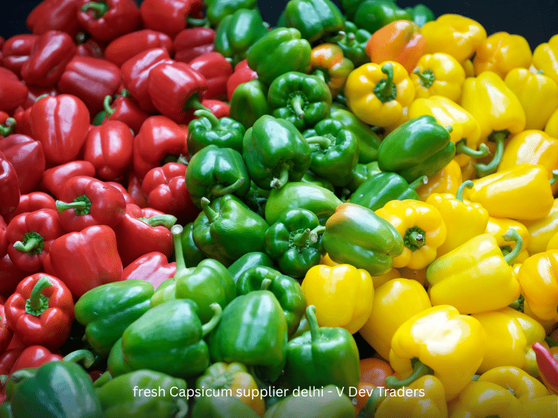 fresh Capsicum supplier delhi V Dev Traders
