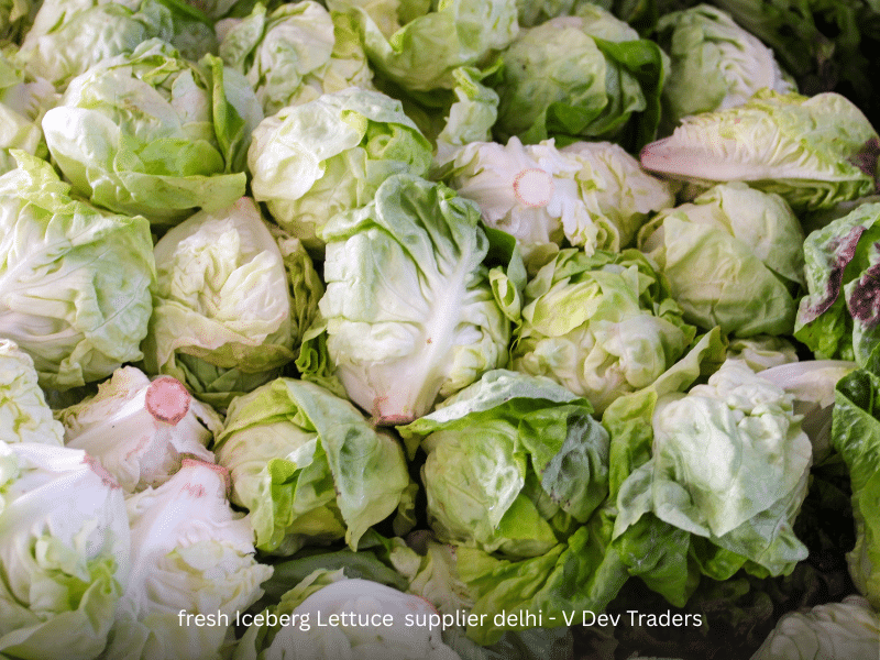 fresh Iceberg Lettuce supplier delhi V Dev Traders