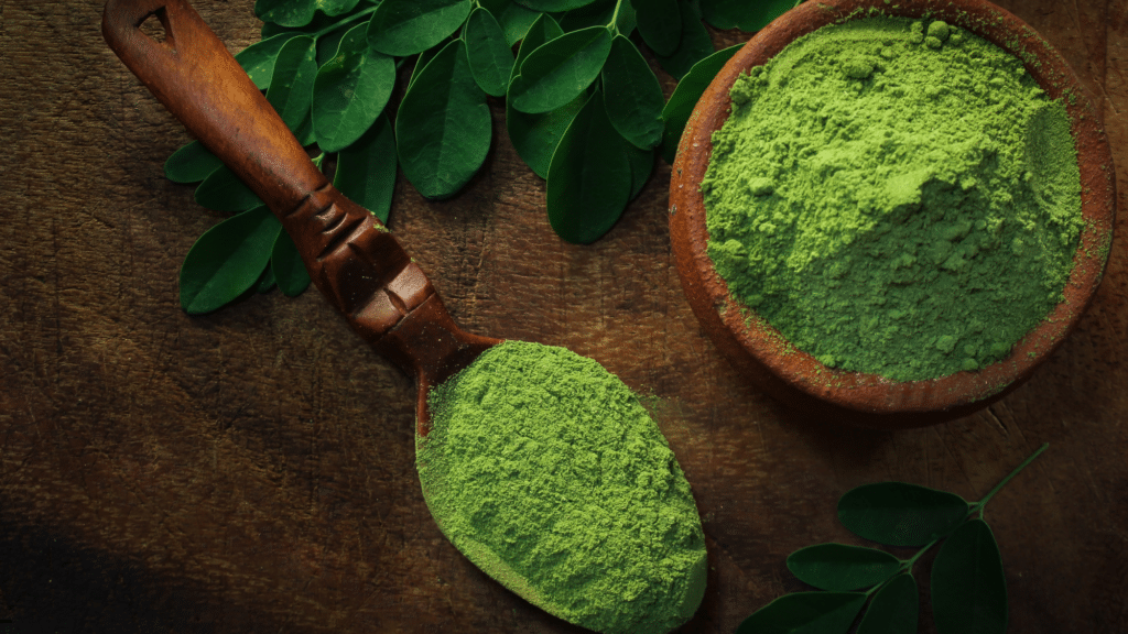 Bulk Moringa Powder Supplier in Delhi