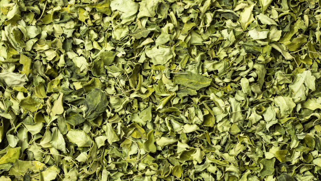 Dried Moringa Leaves Supplier Delhi