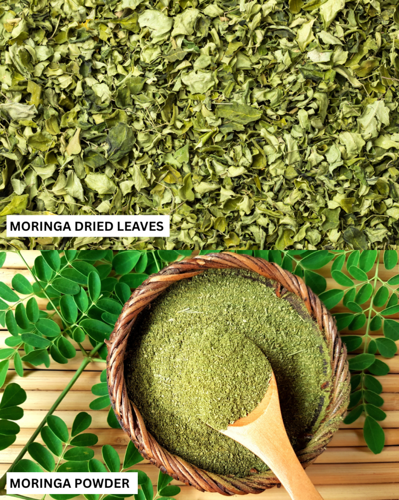moringa powder and dried moringa leaves supplier in Delhi